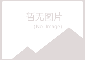 华池县岑迷能源有限公司